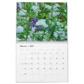 Schönes Colorado Kalender (Feb 2027)