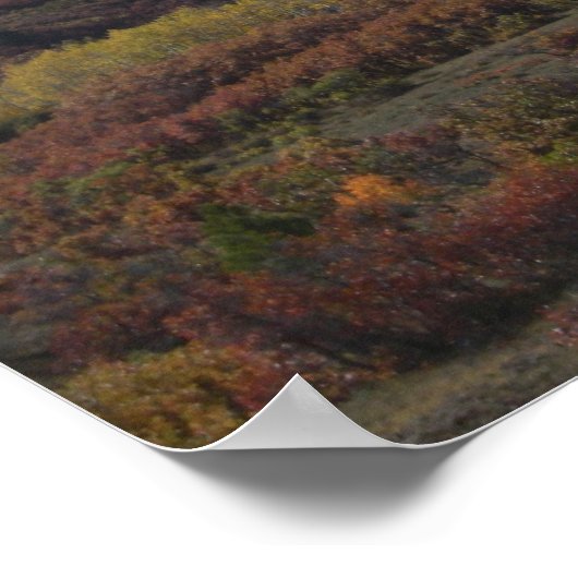 Schönes Colorado Poster (Ecke)