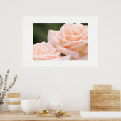 Schönes Creme Rose Poster (Küche)