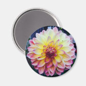 Schönes Dahlia auf einem Magneten Magnet (Vorderseite/Rückseite)