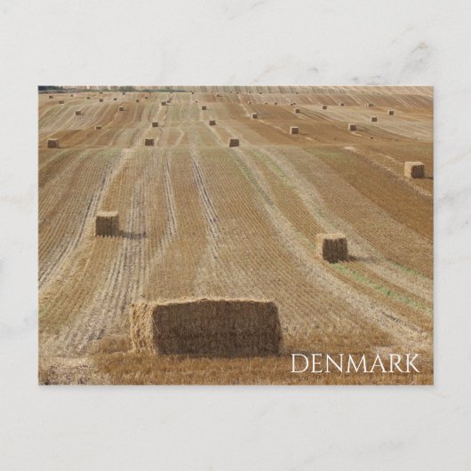 Schönes Dänemark Land Postcard! Postkarte (Vorderseite)