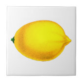 Schönes Design Wasserfarbenlemon Fliese (Vorderseite)