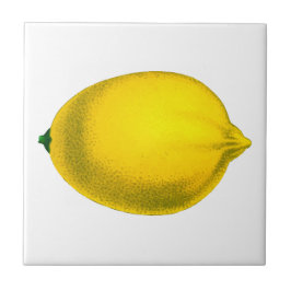 Schönes Design Wasserfarbenlemon Fliese