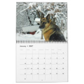 Schönes Deutsches Schäferhund-Foto Kalender (Jan 2027)
