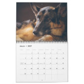 Schönes Deutsches Schäferhund-Foto Kalender (Mär 2027)