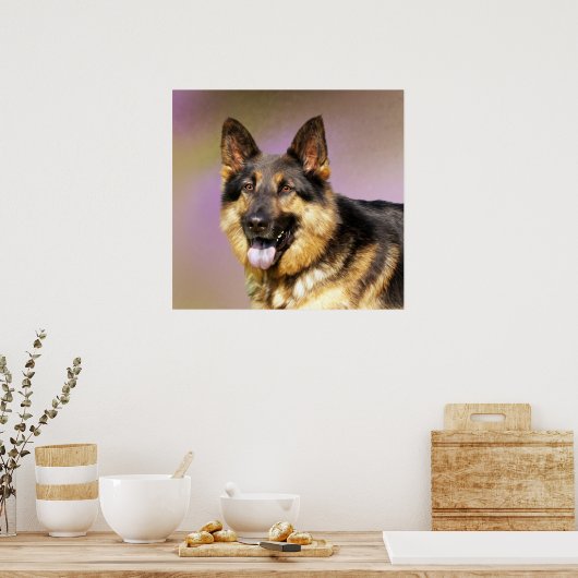 Schönes deutsches Schäferhundeportrait Poster (Küche)