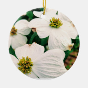 Schönes Dogwood Keramik Ornament