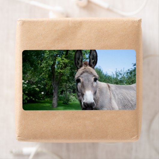 Schönes Donkey-Portrait (Insitu)