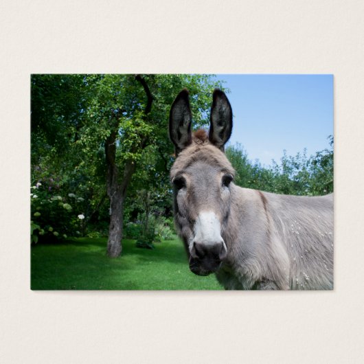 Schönes Donkey-Portrait (Vorderseite)