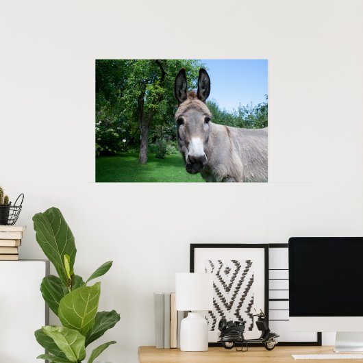 Schönes Donkey-Portrait Poster (Heimbüro)