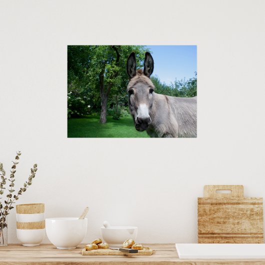 Schönes Donkey-Portrait Poster (Küche)