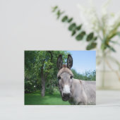 Schönes Donkey-Portrait Postkarte (Stehend Vorderseite)