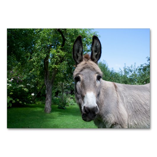Schönes Donkey-Portrait Tischnummer (Vorderseite)