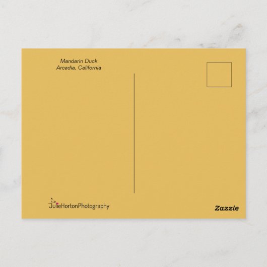 Schönes Duck Portrait Postkarte (Rückseite)