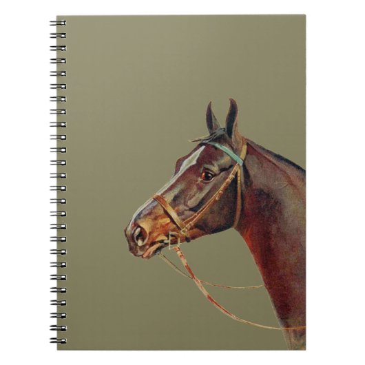 Schönes dunkelbraunes Pferd, Vintages Portrait Notizblock (Vorderseite)