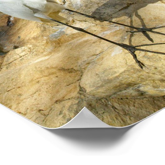 Schönes EGreat Bird Foto Poster (Ecke)