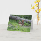 Schönes Eichhörnchen zum Geburtstag im Gras Karte (Gelbe Blume)