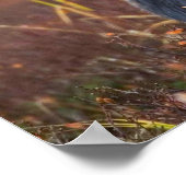 Schönes Elch mit großen Geweihten Poster (Ecke)