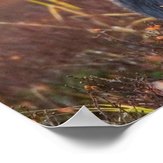 Schönes Elch mit großen Geweihten Poster (Ecke)