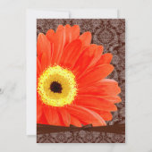 Schönes Elegant Gerber Daisy Wedding Einladung (Rückseite)