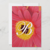 Schönes Elegant Gerber Daisy Wedding Einladung (Rückseite)