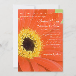 Schönes Elegant Gerber Daisy Wedding Einladung