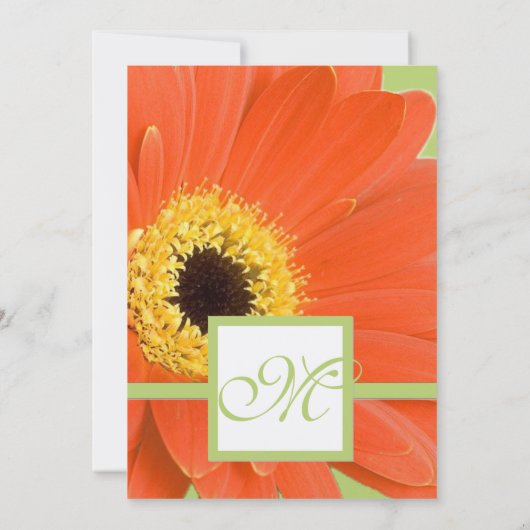 Schönes Elegant Gerber Daisy Wedding Einladung (Rückseite)
