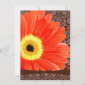 Schönes Elegant Gerber Daisy Wedding Einladung (Rückseite)