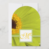 Schönes Elegant Gerber Daisy Wedding Einladung (Rückseite)