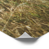 SCHÖNES ELK DEIN POSTER (Ecke)
