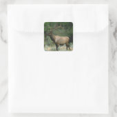 Schönes Elk Quadratischer Aufkleber (Tasche)