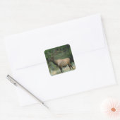 Schönes Elk Quadratischer Aufkleber (Umschlag)