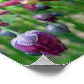 Schönes Epimedium Blume und Buds Frühjahr-Foto Poster (Ecke)