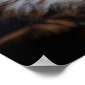 Schönes Falkenportrait Poster (Ecke)