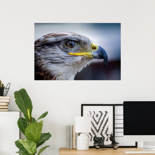 Schönes Falkenportrait Poster (Heimbüro)