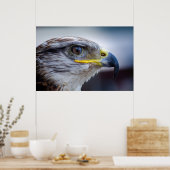 Schönes Falkenportrait Poster (Küche)