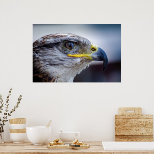 Schönes Falkenportrait Poster (Küche)