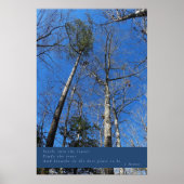 Schönes Fall Day Poster (Vorne)