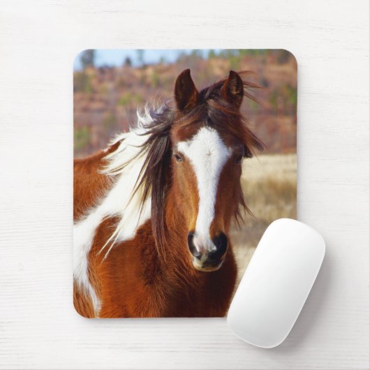 Schönes Farben-Pferd Mousepad (Mit Mouse)