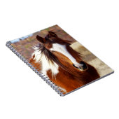 Schönes Farben-Pferdegewundene Notizbücher (Rechte Seite)