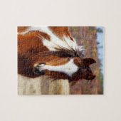 Schönes Farben-Pferdepuzzlespiel Puzzle (Horizontal)