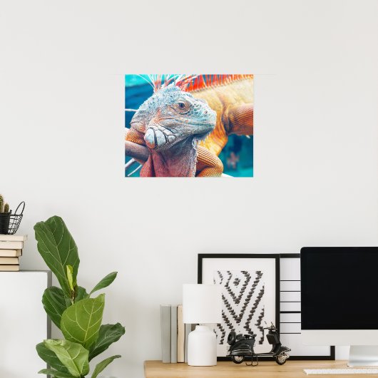 Schönes farbiges Iguana Poster (Heimbüro)