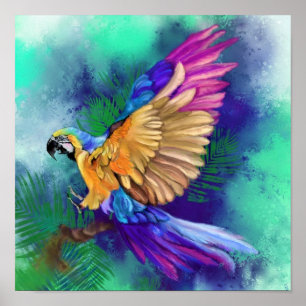Schönes Farbparrot-Poster Poster