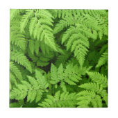 Schönes Farn-Blätter Fliese (Vorderseite)