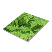 Schönes Farn-Blätter Fliese (Seite)
