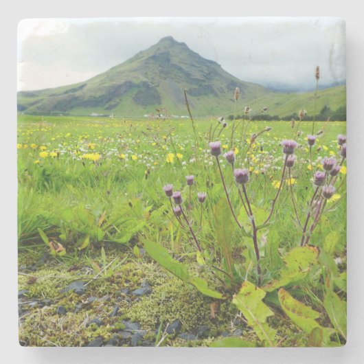 Schönes Feld der Blume Stone Untersetzer (Vorderseite)