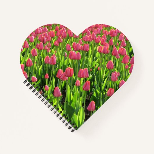Schönes Feld mit rosa Tulpen Notizblock (Vorderseite)