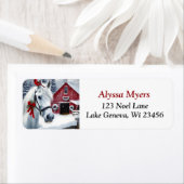 Schönes Ferienhaus mit Kardinal Weihnachten (Insitu)