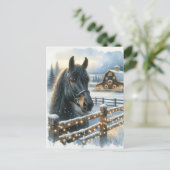 Schönes festliches Schwarzes Pferd auf Bauernhof W Postkarte (Stehend Vorderseite)