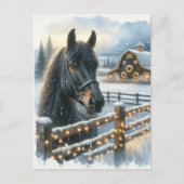 Schönes festliches Schwarzes Pferd auf Bauernhof W Postkarte (Vorderseite)